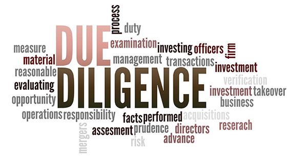 Due Diligence - Dezin